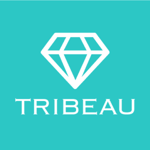 株式会社トリビュー